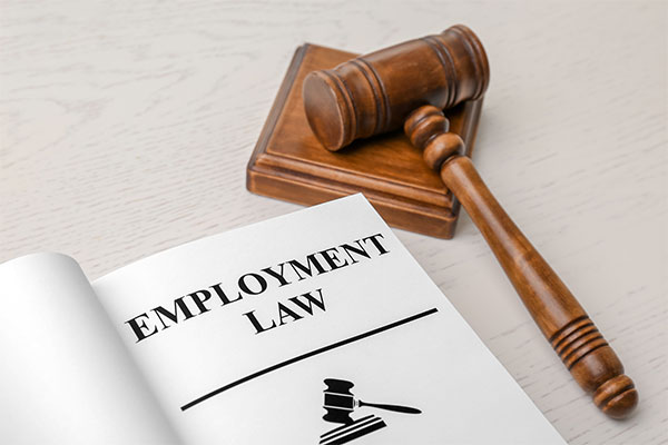 open book with employment law and gavel
