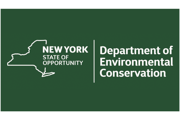 NY State of Opportunity logo