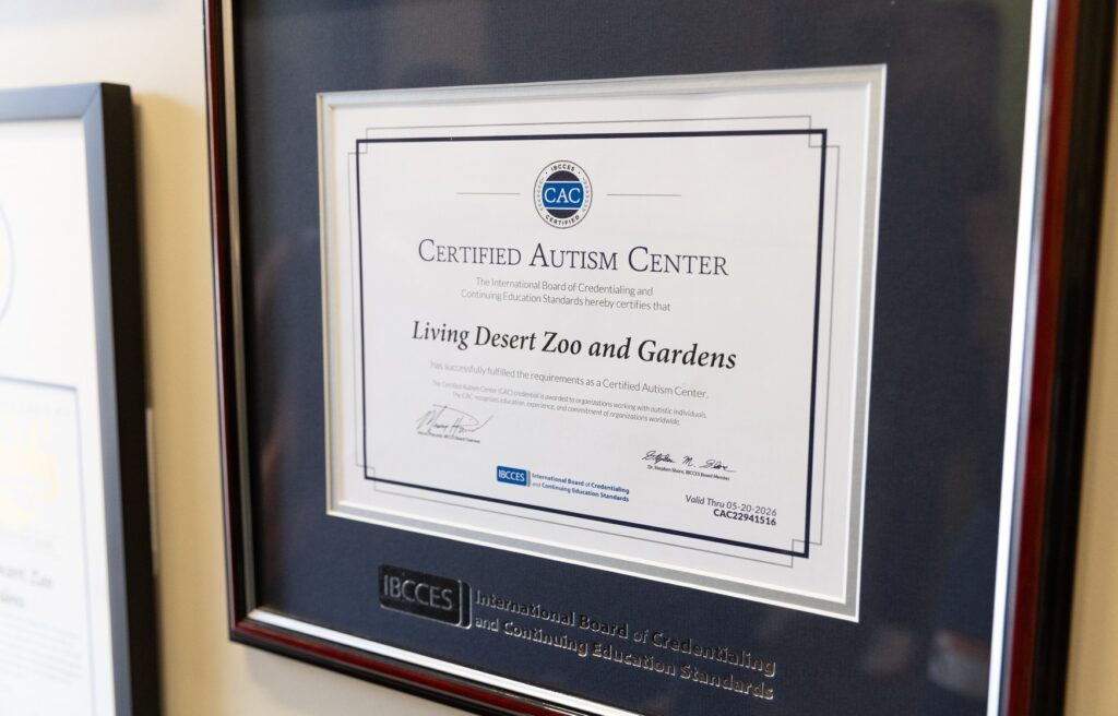 Framed IBCCES Certified Autism Center certificate issued to The Living Desert Zoo and Gardens.